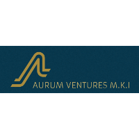 Aurum Ventures MKI