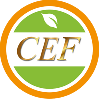 CEF Group 2026 Company Profile: Valuation, Funding & Investors | PitchBook