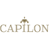 Capilon Group 2026 Company Profile: Valuation, Funding & Investors ...