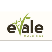 Evale Holdings
