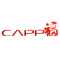 Cappu Electronics