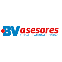 BV Asesores Company Profile 2024: Valuation, Investors, Acquisition ...