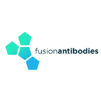 Fusion Antibodies