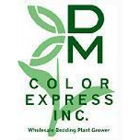 DM Color Express 2026 Company Profile: Valuation, Investors ...