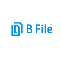 B-File System Company Profile 2024: Valuation, Funding & Investors ...