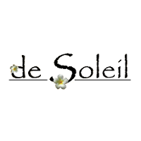 De Soleil Tanning Salon & Spa Company Profile 2024: Valuation, Funding ...