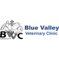 Blue Valley Veterinary Clinic Company Profile Valuation Funding