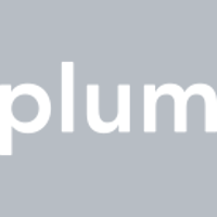 Plum Ventures (USA)