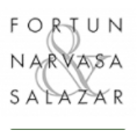 Fortun Narvasa & Salazar Company Profile: Service Breakdown & Team ...