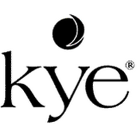 Kye Power 2026 Company Profile: Valuation, Funding & Investors | PitchBook