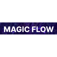 Magic Flow 2026 Company Profile: Valuation, Investors, Acquisition ...