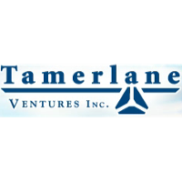 Tamerlane Ventures