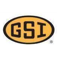 The GSI Group