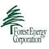 Forest Energy Corp. 2026 Company Profile: Valuation, Funding ...