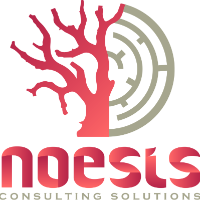 Noesis Consulting Solutions