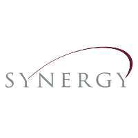 Synergy Ventures