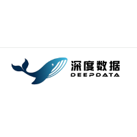 Deep Data ( IT Consulting and Outsourcing) 2026 Company Profile ...