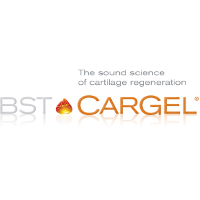 BST-CarGel