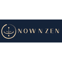 Now N Zen 2026 Company Profile: Valuation, Funding & Investors | PitchBook