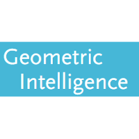 Geometric Intelligence