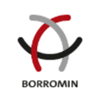 Borromin Capital Management