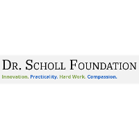 Dr scholl foundation grant deals login