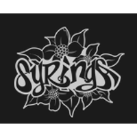 Syringa Japanese Cafe and Sushi Bar 2026 Company Profile: Valuation ...