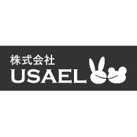 USAEL Corporation 2026 Company Profile: Valuation, Investors ...