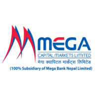 Mega Capital Markets Company Profile: Service Breakdown & Team | PitchBook