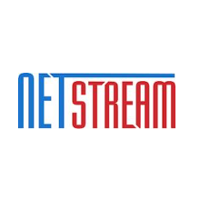 NetStream ( IT Consulting and Outsourcing) 2026 Company Profile ...