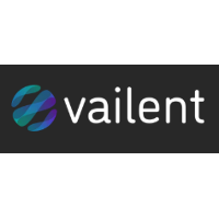 Vailent 2026 Company Profile: Valuation, Investors, Acquisition | PitchBook