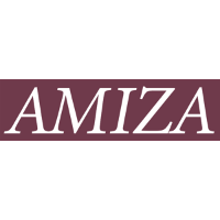 Amiza 2026 Company Profile: Valuation, Funding & Investors | PitchBook