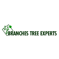 Branches Tree Experts Company Profile 2024: Valuation, Investors ...