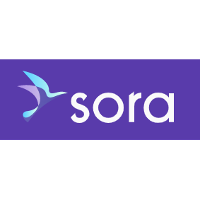 Sora (Business/Productivity Software) 2026 Company Profile: Valuation ...