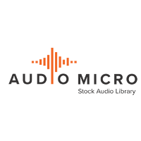 AudioMicro Company Profile: Valuation, Investors, Acquisition | PitchBook