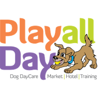 Play All Day Doggie Daycare And Hotel Company Profile 2024: Valuation ...