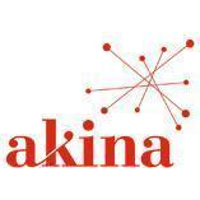 Akina (Other Financial Services)