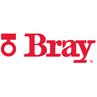 Bray International