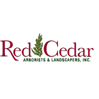 Red Cedar Arborists