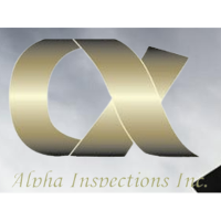 Alpha Inspections 2026 Company Profile: Valuation, Investors ...