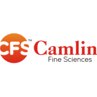 Camlin Fine Sciences
