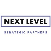Next Level Strategic Partners Company Profile: Service Breakdown & Team ...