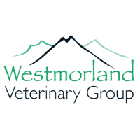 Westmorland Veterinary Group