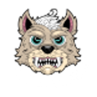 Funky Wolves 2026 Company Profile: Valuation, Funding & Investors ...