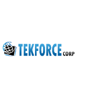 Tekforce Company Profile: Service Breakdown & Team | PitchBook
