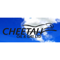 Cheetah Oil & Gas 2026 Company Profile: Stock Performance & Earnings ...