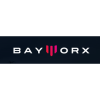 Bay Worx Company Profile Valuation Investors Acquisition