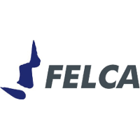 Felca 2026 Company Profile: Valuation, Investors, Acquisition | PitchBook