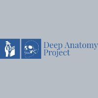 Deep Anatomy Project
