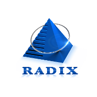 Radixweb 2026 Company Profile: Valuation, Funding & Investors | PitchBook